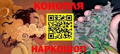 мяу мяу мука Малгобек